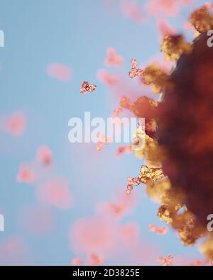 Humane Antikörper (IgG und IgM), die ein Corona-Virus angreifen (SARS-CoV-2, Covid 19). Ein genaues Modell auf Basis wissenschaftlicher Strukturdaten aus dem HVE. Stockfoto