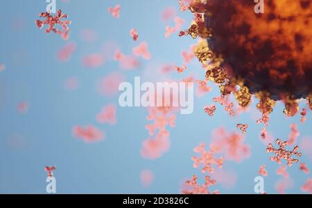 Humane Antikörper (IgG und IgM), die ein Corona-Virus angreifen (SARS-CoV-2, Covid 19). Ein genaues Modell auf Basis wissenschaftlicher Strukturdaten aus dem HVE. Stockfoto