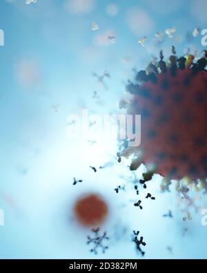 Humane Antikörper (IgG und IgM), die ein Corona-Virus angreifen (SARS-CoV-2, Covid 19). Ein genaues Modell auf Basis wissenschaftlicher Strukturdaten aus dem HVE. Stockfoto