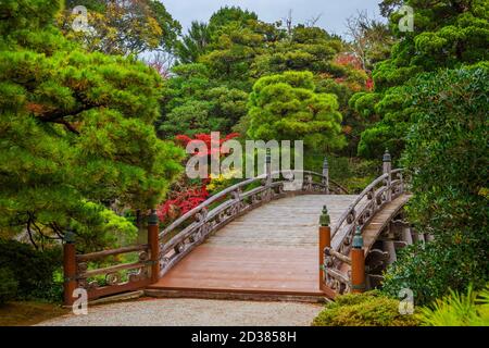 Gärten in Japan. Kyoto Imperial Palace Garden Holzbrücke mit roten Ahornblättern und grünen Kiefern Stockfoto