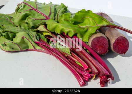 Ein Bund schweizer Mangold und ein paar rohe Röhrenrüben. Die grünen Blätter haben violette Adern und Stängel. Die Rüben wurden geschnitten. Stockfoto