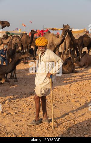 Kamelhändler mit ihren Kamelen am Pushkar Kamelfestival in pushkar, Rajasthan, Indien am 19. November 2018 Stockfoto