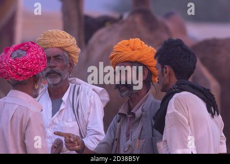 Eine Gruppe von Männern tragen Turbanen stehen und Handel Kamele einander in Pushkar, Rajasthan, Indien am 18. November 2018 Stockfoto