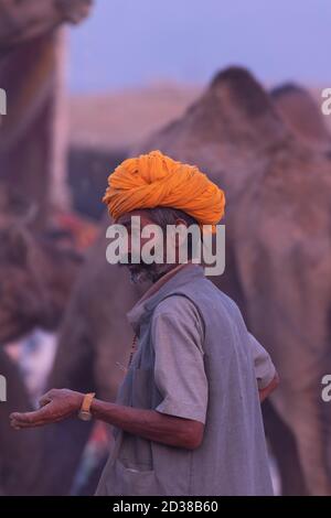 Ein ängstlich suchen Kamel Händler mit seinen Kamelen auf Pushkar Kamel Festival in pushkar, Rajasthan, Indien am 19. November 2018 Stockfoto