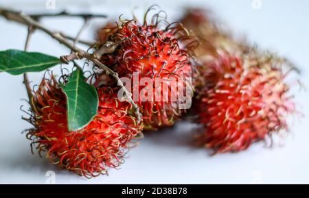 Rambutan Frucht oder Nephelium lappaceum auf weißem Hintergrund. Stockfoto