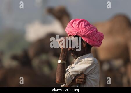 Ein ängstlich suchen Kamel Händler mit seinen Kamelen auf Pushkar Kamel Festival in pushkar, Rajasthan, Indien am 19. November 2018 Stockfoto