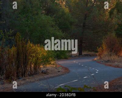 Jedediah Smith Memorial Trail im Herbst mit Herbstfarben.die gepflasterten Radweg führt von Sacramento nach Folsom CA entlang der American River parkway Stockfoto