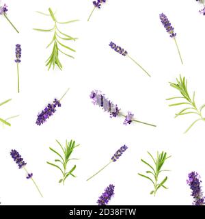 Nahtloses Muster aus lavendelblüten isoliert auf Weiß. Frische Blüten. Florales Muster. Stockfoto