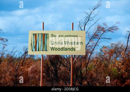 Great Western Woodlands - Australien Stockfoto