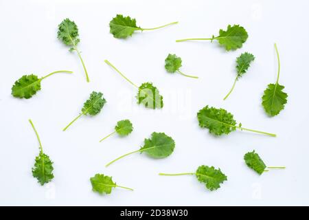 Kale Blätter auf weißem Hintergrund. Draufsicht Stockfoto