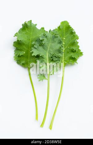 Kale Blätter auf weißem Hintergrund. Draufsicht Stockfoto