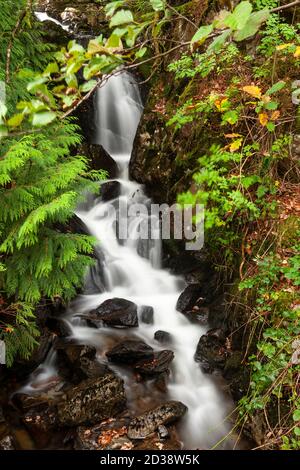 Wasserfall in Llyn Crafnant, Snowdonia, Nordwales Stockfoto