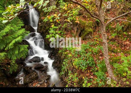 Wasserfall in Llyn Crafnant, Snowdonia, Nordwales Stockfoto