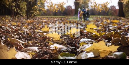 Kinder spielen im Herbstpark, verschwommene Silhouetten Stockfoto