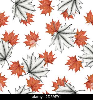 Herbst Blätter nahtlose Hintergrund mit Ahornblatt, Tinte und Aquarell fallen Ahornblatt Illustration für Verpackung oder Stoff, herbstlichen Hintergrund Stockfoto