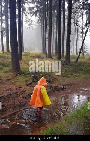 Kleines Mädchen mit Regenmantel, Wandern in einem Fluss mit Stiefeln im Wald an einem nebligen Tag, Nebel im Wald Stockfoto