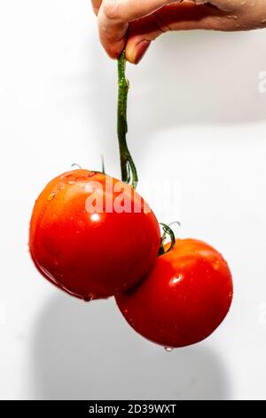 Frau hält in ihrer Hand einen Pinsel mit drei saftigen Rote Tomaten Stockfoto