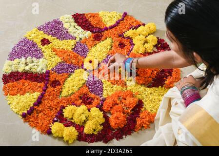 Kerala Onam Festival, Indische Frau Putting Flower Bett Pookalam Dekoration, nahtlose Blumenmuster von tropischen frischen Blumen Onam, Vishu Feier Stockfoto