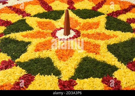 Kerala Onam Festival, Indische Frau Putting Flower Bett Pookalam Dekoration, nahtlose Blumenmuster von tropischen frischen Blumen Onam, Vishu Feier Stockfoto