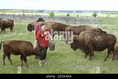 01. Oktober 2020, Sachsen, Wermsdorf: Cora Lechner steht mit ihrem Lebensgefährten Johannes Boos in ihrer Bisons-Gehege beim handerhobenen Kalb 'Hannes'. Die junge Frau übernahm Anfang des Jahres eine Herde von 60 Bisons, die ihr Vater 2003 gründete. Gemeinsam mit ihrem Lebenspartner Johannes Boos (r) kümmert sie sich um die Zucht und ökologische Haltung der Wildrinder, die in Nordamerika weit verbreitet sind. Sie finden auf 40 Hektar frisches Weidegras und erhalten Bio-Heu als Ergänzungsfutter. Das Fleisch der Pflanzenfresser, das bis zu 900 Kilogramm wiegen kann, wird als Frischfleisch und verkauft Stockfoto