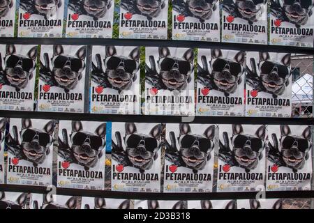 29. Juli 2018 Petapalooza, Eau Claire Market, Downtown, Calgary, Alberta. Plakate für die jährliche Veranstaltung. Stockfoto