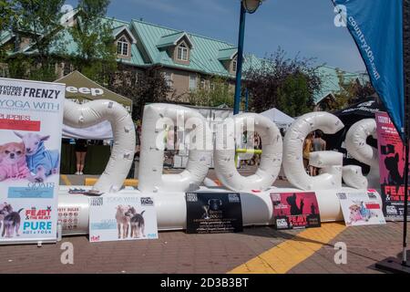 29. Juli 2018 Petapalooza, Eau Claire Market, Downtown, Calgary, Alberta. Ich liebe Hunde aufblasbare Zeichen. Stockfoto