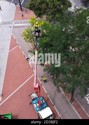 Ein professioneller Baumpfer, der mit einer Kettensäge große Gliedmaßen entfernt, während er in einer Arbeitsbühne oder einem Eimer arbeitet. Stockfoto