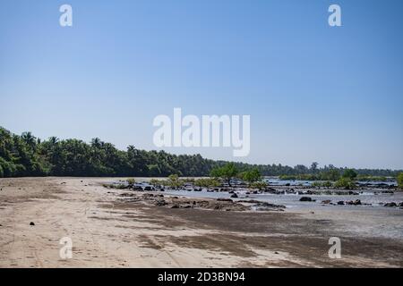 Küste mit Mangroven und Palmen bei Ebbe nördlich von Ngwesaung Strand, Irrawaddy, West-Myanmar Stockfoto