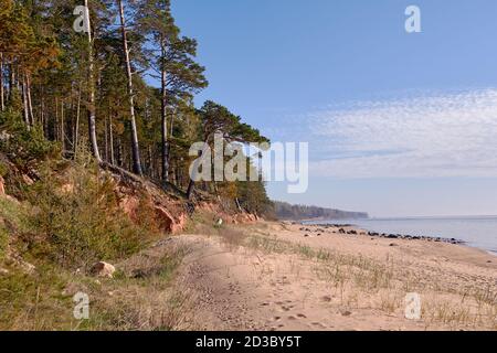 Bäume und große Steine an der Ostsee Felsküste bei Tuja, Veczemju klintis, Vidzeme, Lettland, Landschaft Stockfoto