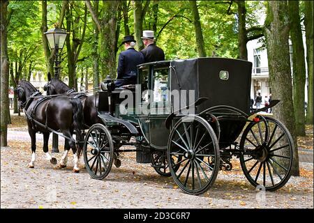 Rückansicht einer eingezäunten traditionellen viktorianischen Ära Pferdekutsche mit zwei schwarzen Pferden auf einer Kiesbaum gesäumten Auffahrt. Stockfoto