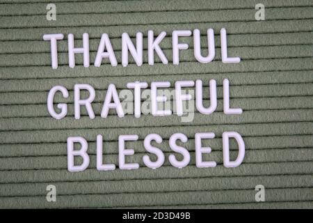 DANKBAR, DANKBAR UND GESEGNET. Weiße Buchstaben des Alphabets auf grünem Hintergrund. Text und Informationen Stockfoto