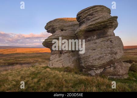 Jenny Twigg und ihre Tochter TIB, Gritstone Felsformationen auf Fountains Earth Moor über dem Nidd Valley, Nidderdale. Stockfoto