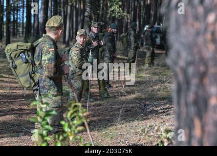 08. Oktober 2020, Brandenburg, Groß Gastrose: Soldaten der Bundeswehr vom Jägerbataillon 413 aus Torgelow (Mecklenburg-Vorpommern) suchen im Rahmen der Eindämmung der Afrikanischen Schweinepest (ASP) einen Wald nach Damwild. Soldaten des Jägerbataillons 413 und der Reserve Support Company Brandenburg sind derzeit im Einsatz, um die Maßnahmen des Landkreises Spree-Neisse im Kampf gegen die Afrikanische Schweinepest zu unterstützen. Insgesamt gibt es etwa 140 Soldaten, die in zwei Einsatzphasen eingesetzt werden. Foto: Patrick Pleul/dpa-Zentralbild/dpa Stockfoto