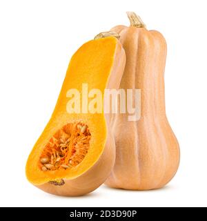 Kürbis Butternut Squash auf weißem Hintergrund, Beschneidungspfade, volle Tiefenschärfe Stockfoto