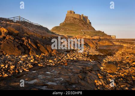 Lindisfarne Castle, Holy Island, mit niedrigen Winkel Abendsonne Beleuchtung der Küste. Northumberland, Großbritannien. Stockfoto
