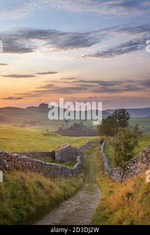 Blick in Richtung Smearsett Scar von der Goat Scar Lane, über Stainforth, Ribblesdale, North Yorkshire, Yorkshire Dales National Park, UK. Stockfoto