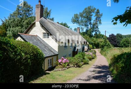 Traditionelles Reethaus in Dunster, Nord Somerset Stockfoto