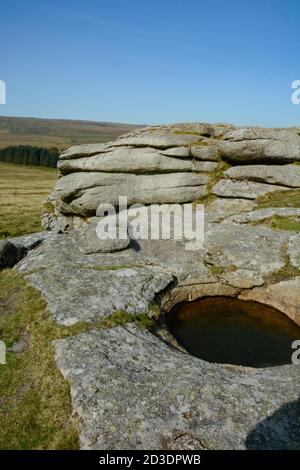 Natürlich geformtes Rock Basin am Kestor Rock am Dartmoor Stockfoto