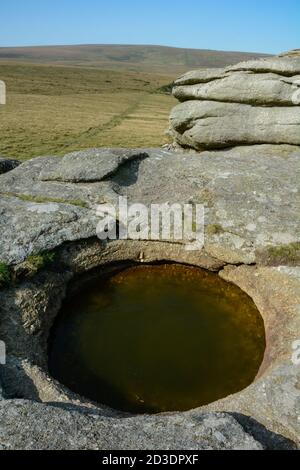 Natürlich geformtes Rock Basin am Kestor Rock am Dartmoor Stockfoto