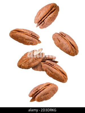 Fallender Pecan, Mutter, isoliert auf weißem Hintergrund, Clipping Pfad, volle Schärfentiefe Stockfoto