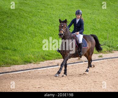 Ein Springpferd trabelt zusammen mit einer jungen Reiterin, die ihren Sport praktiziert. Stockfoto