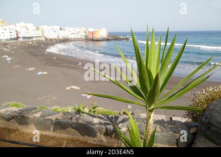 Blick auf die bunten Häuser von Punta Brava und den Strand in Puerto de la Cruz, Teneriffa, Kanarische Inseln, Spanien Stockfoto