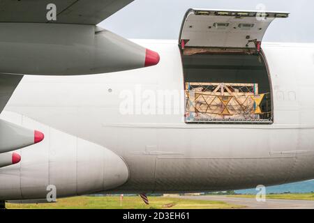 Viehbestand in Holzkisten, die durch Netze gesichert werden Das Hauptdeck Frachtraum eines Jumbo Jet Frachters Flugzeug Stockfoto