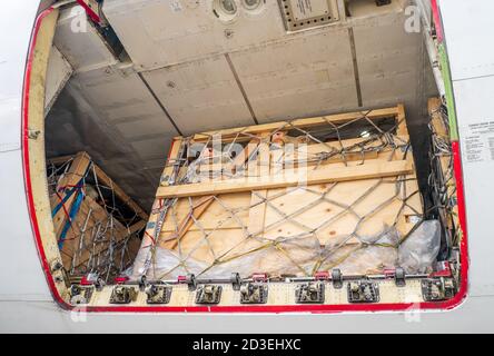 Viehbestand in Holzkisten, die durch Netze gesichert werden Der untere Frachtraum eines Jumbo Jet Frachters Stockfoto