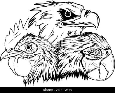Eagle Mascot Logo Design Vektor-Vorlage Illustration Stock Vektor
