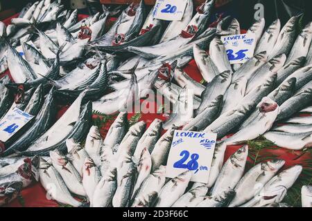 Türkische Bauernmarkt. Auswahl an frischem Fisch mit Preis auf dem Zähler Stockfoto