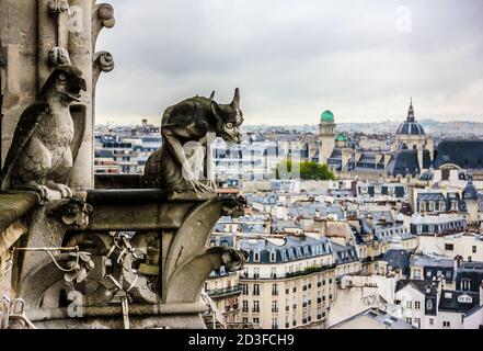 Mythische Kreatur Gargoyle auf Kathedrale Notre Dame de Paris. Stadtbild von Paris. Frankreich. Stockfoto