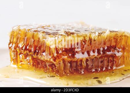 Bio Honig in den Waben auf weißem Hintergrund. Nahaufnahme Stockfoto