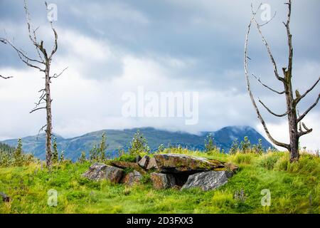 Landschaftlich schöne Aussicht auf Alaskan Landschaft frühen Herbst Berge in der Hintergrund Stockfoto