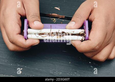 Man Hand macht eine Zigarette mit Rollen traditionelle Werkzeuge, Hände Nahaufnahme. Stockfoto